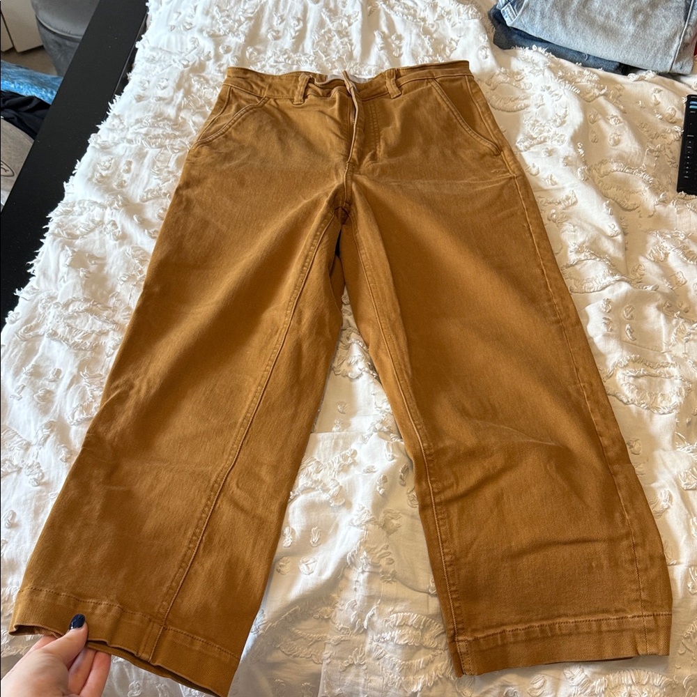 Everlane cropped short straight